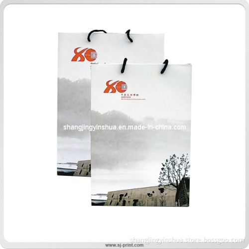 Eco-Friendly Paper Shopping Bag (PB010)
